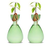 CYZglass Avocado Vase Avocado Seed Starter Vases Trees Live Plants Growing kit Glass 2pc