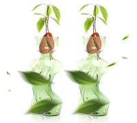 CYZglass Propagation Vases for Plants Plant Propagation Jars Unique Body Avocado Vase Glass Planter Perfect for Seed Starting Water Rooting and Home Decor Gift for Father