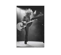 CZBAIY Nancy Wilson Canvas Poster Poster Painting Canvas Wall Art Living Room Posters Painting 12x18inch(30x45cm)