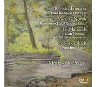 Czech Chamber Music - Foerster/Novak/Janacek/Fibich by Kinsky Trio Prague (2011-04-12)