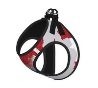 Czech Republic Animation Flag Map Print Harness Leash Set For Cat And Small Dog, Adjustable, Reflective, And Escape-Proof Vest With Soft Breathable Mesh Lining