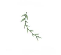 CZHJM 3 Pcs 13/16 CM Willow Leaf Plant Sew On Patches Small Iron On Embroidered Applique Patches Chinese Badges Sew On Patches For Clothing