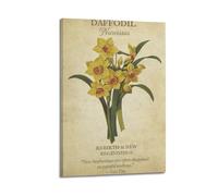 CZHXYZ Canvas Posters Wall Art for Bedroom And Living Room Decor - Plant Poster Rebirth And New Beginnings of Daffodil 08x12inch(20x30cm) Frame-style