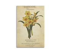 CZHXYZ Canvas Posters Wall Art for Bedroom And Living Room Decor - Plant Poster Rebirth And New Beginnings of Daffodil 16x24inch(40x60cm) Unframe-style