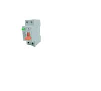 CZK6 RCCB 2-2P 16A 25A 32A 40A 63A 80A 100AResidual Current Circuit Breaker surge protector breaker ac110v 60(2P25A300MA)