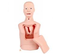 czkxey Advanced Nasogastric Tube and Tracheal Care Model, Gastric Lavage Tracheostomy Model, Intubation Gastric Tube Model Training Manikin Advanced, for Teaching and Medical Purposes