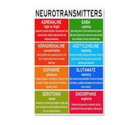 CZMDKEXM Mental Health Matters Poster, Understanding Neurotransmitters Infographic, Conversation Starter Wall Art, Modern Canvas Print for School, Kitchen, Office(Framed,08x12inch(20x30cm))