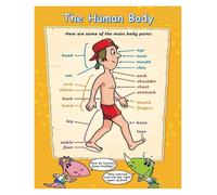 CZMDKEXM My First Human Body Poster - Illustrated Learning Guide for Toddlers & Young, for Nursery & Preschool Wall (Framed,08x12inch(20x30cm))