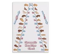 CZMDKEXM Sight Singing and Solfege Educational Chart Music Class Reference Poster Visual Guide for Voice Lessons Studio Classroom Decor 8 X 12 in