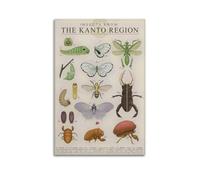 CZNBYYDSJH Insects from The Kanto Region Poster with Butterflies, Beetles, And Caterpillars Canvas Wall Art Aesthetic Decorative Painting Living Room Restaurants, Pool Halls And Hotelsstyle 12x18inch