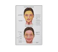 CZOURPVU Facial Fat Pads Poster Face Anatomy Esthetician Plastic Medical Knowledge Canvas Art Aesthetic And Wall Art Picture Decor Poster12x18inch(30x45cm)