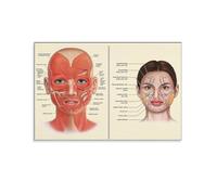 CZOURPVU Vinatge Face Anatomy Poster Facial Muscles And Veins Skin Esthetician Plastic Massage Medical Knowledge Canvas Art Aesthetic And Wall Art Picture Decor Poster12x18inch(30x45cm)