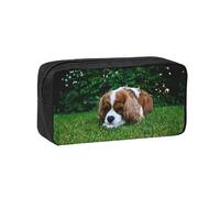 Czqdp Simple and Spacious Pencil Case Polyester Cosmetic Pouch Bag Portable Pencil Pouch with Zipper,Cavalier King Charles Spaniel Brownish White