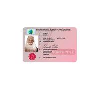 (D) 50 X Plastic Santa Claus Flying Licence Christmas Eve Box Driving Licence Style
