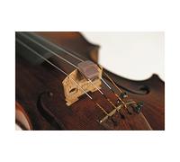 Spector Mute for Violin - Copper