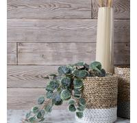 D-C-Fix Distressed Wood 3D Splashback Wallpaper For Kitchen And Bathroom 4M(L) 67.5Cm(W)