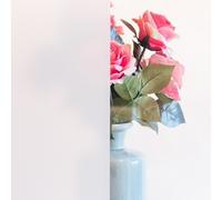 D-C-Fix Frosted Self-Adhesive Vinyl Window Film One Colour
