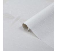 D-C-Fix Nibella White Dragonfly Window Film, (L)1.5M (W)0.45M