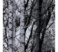 D-C-Fix Self Adhesive Film 450mm X 2M Woods F346-0611