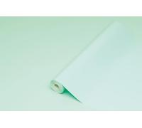 d-c-fix vinyl wrap Mint gloss plain 45 cm x 2 m - sticky back plastic roll for furniture, kitchen & cupboards - contact paper sticker self adhesive film