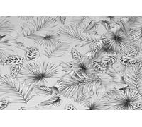 d-c-fix window film privacy Botanicals - 45cm x 2m - self adhesive vinyl films for glass windows with a modern plant pattern - opaque, frosted, decorative for bathroom, home & kitchen