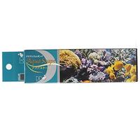 D-D Aquascape Construction Epoxy Slate Grey 4oz (113.4g)