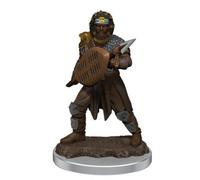 D&D Icons of the Realms Premium Figures: Male Human Fighter (Wave 7)