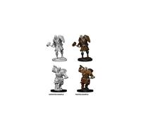 D & D Nolzur's Marvellous Miniatures - Male Goliath Fighter`w