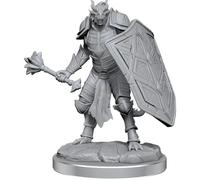 D&D Nolzur's Marvelous Miniatures - Dragonborn Clerics