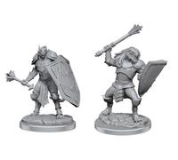 D&D Nolzur's Marvelous Miniatures - Dragonborn Clerics