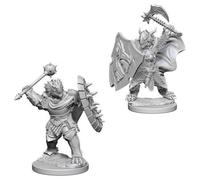 D&D Nolzur's Marvelous Miniatures - Dragonborn Male Paladin (73200)