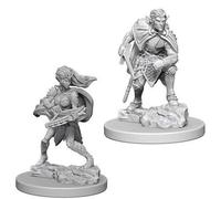 Wiz Kids LLC Drow: D&D Nolzur's Marvelous Unpainted Miniature