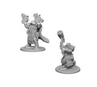 Dungeons & Dragons Nolzur's Marvelous Unpainted Miniatures (W1) Dwarf Male Cleric