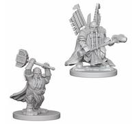 D&D Nolzur's Marvelous Unpainted Miniatures (W5) Dwarf Male Paladin