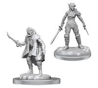 WizKids D&D Nolzur's Marvelous Miniatures: Elf Rogue & Half-Elf Rogue Protégé