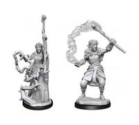 Dungeons & Dragons Board Game 48831 - WizKids Firbolg Female Druid (6 Units)