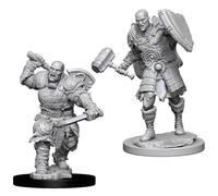 D&D Nolzur's Marvelous Miniatures - Goliath Male Fighter (73541)