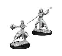 D&D Nolzur's Marvelous Miniatures - Half-Elf Female Monk (73839)