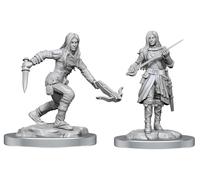 D&D Nolzur's Marvelous Miniatures: Half-Elf Rogue Female