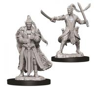 D&D Nolzur's Marvelous Miniatures - Half-Elf Male Paladin (73707)