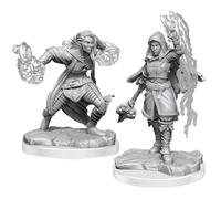 Wizkids D&D Nolzurs Marvelous Half-Elf Warlock Miniatures