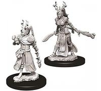 D&D Nolzur's Marvelous Unpainted Miniatures (W9) Female Human Druid