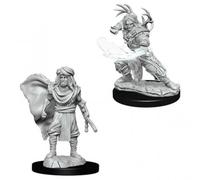 D&D Nolzur's Marvelous Miniatures - Human Male Druid (73390)