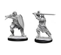 Wizkids D&D Nolzur's Marvelous Miniatures (Wave 14) - Human Paladin Male