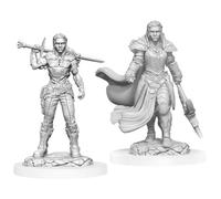 Wizkids D&D Nolzur's Marvelous Unpainted Miniatures: Female Orc Fighter (Wave 20)