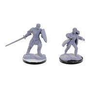 Wizkids D&D Nolzur's Marvelous Unpainted Miniatures: Reborn Paladin & Warlock (Wave 22)