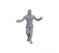 WizKids D&D Nolzur's Marvelous Miniatures: Special Edition Baldur's Gate 3 (Sarevok Anchev & Raphael)