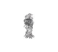 D&D Nolzurs Marvelous Miniatures - Spectral Cloud - Wave 23