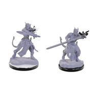 WizKids D&D Nolzur's Marvelous Miniatures: Tiefling Warlocks Dungeons and Dragons Unpainted Miniatures, Undefined