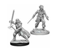 D&D Nolzur's Marvelous Miniatures - Vampire Hunters (73676)